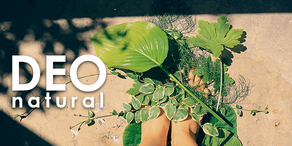 Дезодоранты в тренде: новые форматы, ЭКО и Natural Дезодоранты в тренде: новые форматы, ЭКО и Natural