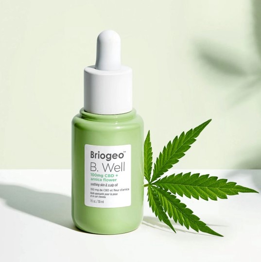 cbd 1.jpg cbd 1.jpg